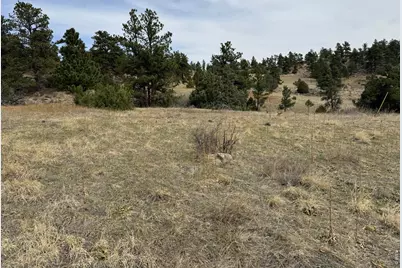 565 Le Conte Dr, Livermore, CO 80536 - Photo 7