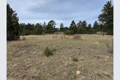 565 Le Conte Dr, Livermore, CO 80536 - Photo 9