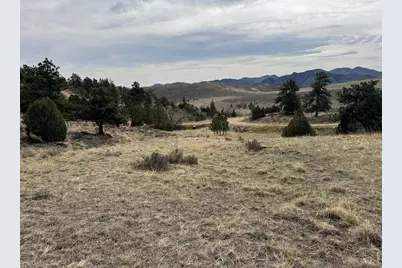 565 Le Conte Dr, Livermore, CO 80536 - Photo 19