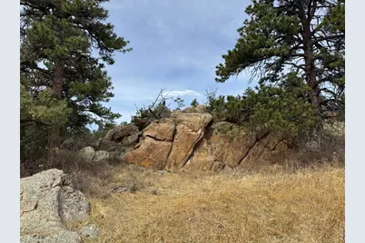 565 Le Conte Dr, Livermore, CO 80536 - Photo 11