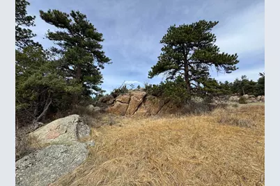 565 Le Conte Dr, Livermore, CO 80536 - Photo 13