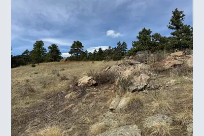 565 Le Conte Dr, Livermore, CO 80536 - Photo 21