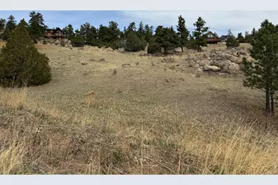 565 Le Conte Dr, Livermore, CO 80536 - Photo 3