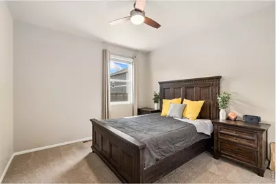 3713 Torch Lily St, Wellington, CO 80549 - Photo 13