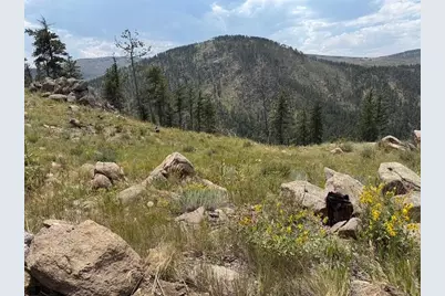 865 Redstone Dr, Bellvue, CO 80512 - Photo 15