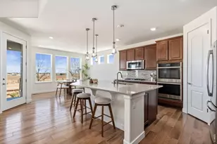 2384 Tyrrhenian Cir, Longmont, CO 80504 - Photo 11