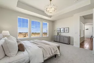 2384 Tyrrhenian Cir, Longmont, CO 80504 - Photo 17