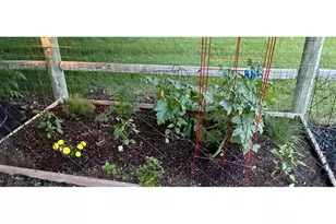 8106 Northstar Dr, Windsor, CO 80528 - Photo 9