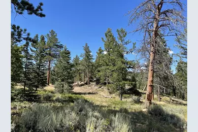 34 Shawnee Rd, Red Feather Lakes, CO 80545 - Photo 19