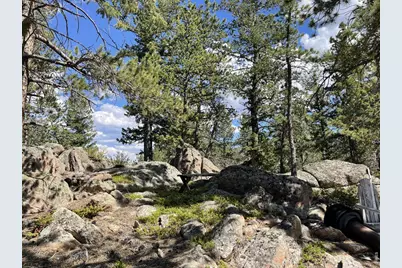 34 Shawnee Rd, Red Feather Lakes, CO 80545 - Photo 5