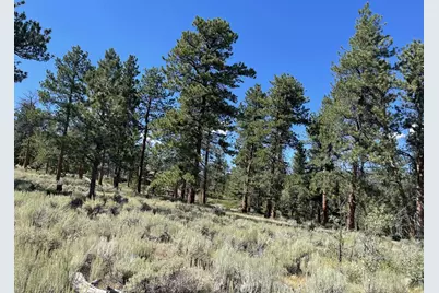 34 Shawnee Rd, Red Feather Lakes, CO 80545 - Photo 21