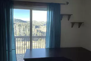 141 Tami Rd, Red Feather Lakes, CO 80545 - Photo 11