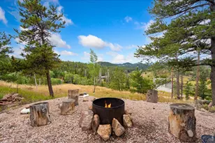 141 Tami Rd, Red Feather Lakes, CO 80545 - Photo 27