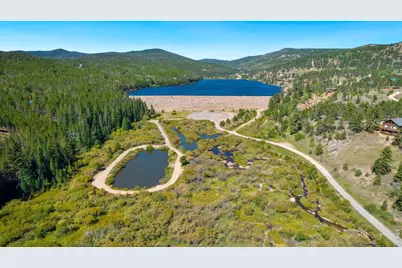 141 Tami Rd, Red Feather Lakes, CO 80545 - Photo 37