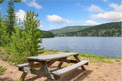 141 Tami Rd, Red Feather Lakes, CO 80545 - Photo 43
