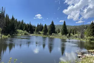 3706 Ottawa Way, Red Feather Lakes, CO 80545 - Photo 43