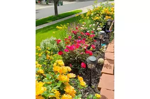 549 Arrowhead Dr, Loveland, CO 80537 - Photo 43