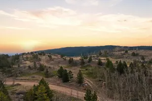 5260 Ridge Rd, Nederland, CO 80466 - Photo 11