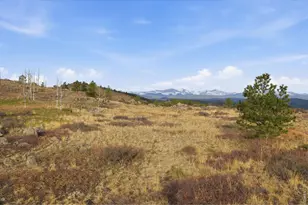 5260 Ridge Rd, Nederland, CO 80466 - Photo 13