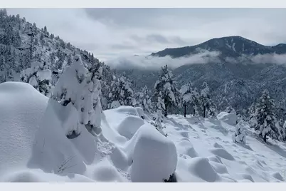 1006 Kneale Rd, Eldorado Springs, CO 80025 - Photo 39