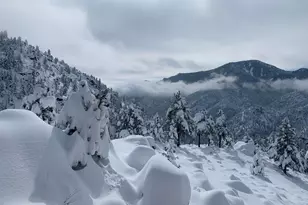 1006 Kneale Rd, Eldorado Springs, CO 80025 - Photo 39