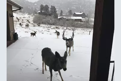 285 Indian Trl, Estes Park, CO 80517 - Photo 33