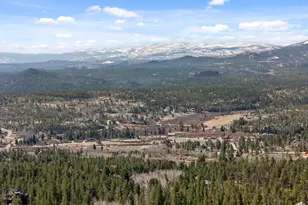 241 Mattapony Way, Red Feather Lakes, CO 80545 - Photo 5