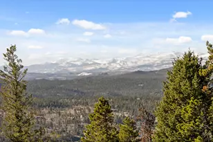 241 Mattapony Way, Red Feather Lakes, CO 80545 - Photo 29