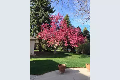 2401 Brookwood Dr, Fort Collins, CO 80525 - Photo 17