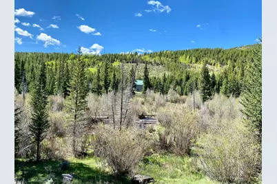 236 Mescalero Dr, Red Feather Lakes, CO 80545 - Photo 35