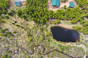 236 Mescalero Dr, Red Feather Lakes, CO 80545 - Photo 29