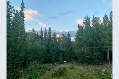 236 Mescalero Dr, Red Feather Lakes, CO 80545 - Photo 39