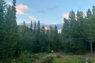 236 Mescalero Dr, Red Feather Lakes, CO 80545 - Photo 39