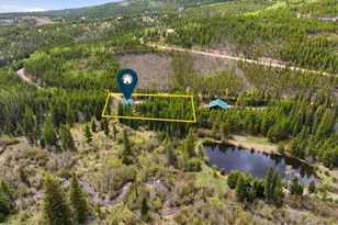 236 Mescalero Dr, Red Feather Lakes, CO 80545 - Photo 3
