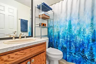 236 Mescalero Dr, Red Feather Lakes, CO 80545 - Photo 11