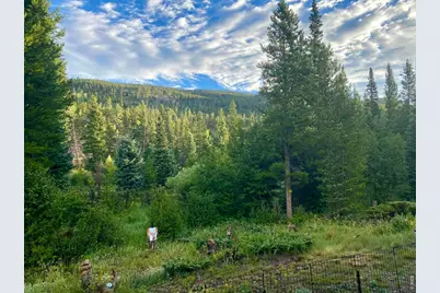 236 Mescalero Dr, Red Feather Lakes, CO 80545 - Photo 45