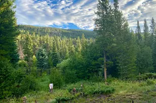 236 Mescalero Dr, Red Feather Lakes, CO 80545 - Photo 45