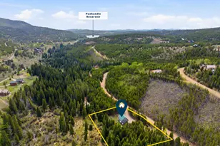 236 Mescalero Dr, Red Feather Lakes, CO 80545 - Photo 31