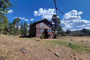 2225 N County Rd 73C, Red Feather Lakes, CO 80545 - Photo 7