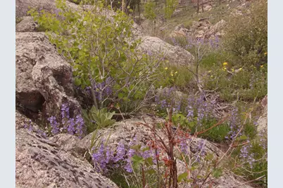 3434 Davis Ranch Rd, Bellvue, CO 80512 - Photo 21