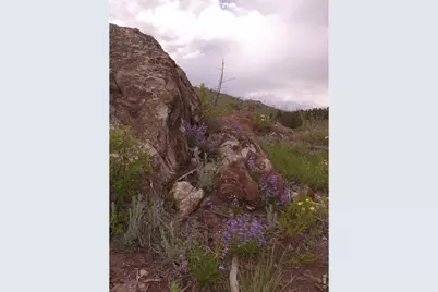 3434 Davis Ranch Rd, Bellvue, CO 80512 - Photo 29