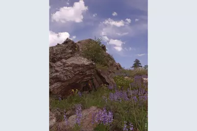 3434 Davis Ranch Rd, Bellvue, CO 80512 - Photo 23