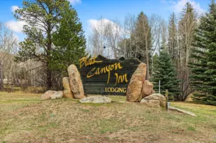 199 Twin Owls Ln, Estes Park, CO 80517 - Photo 39