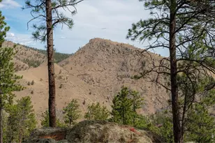 842 Unger Mountain Rd, Bellvue, CO 80512 - Photo 31