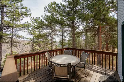 842 Unger Mountain Rd, Bellvue, CO 80512 - Photo 29