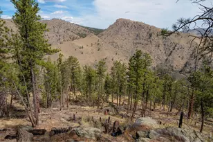 842 Unger Mountain Rd, Bellvue, CO 80512 - Photo 33