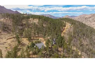 842 Unger Mountain Rd, Bellvue, CO 80512 - Photo 41