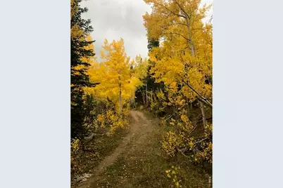 1311 Shoshoni Dr, Red Feather Lakes, CO 80545 - Photo 45