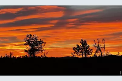 1311 Shoshoni Dr, Red Feather Lakes, CO 80545 - Photo 49