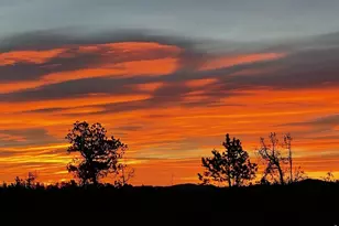 1311 Shoshoni Dr, Red Feather Lakes, CO 80545 - Photo 49